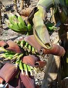 DSC02949 - Coral Bay